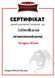 Візок для тельфера електричний 1 т 32003 фото 2